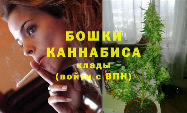 каннабис Инта