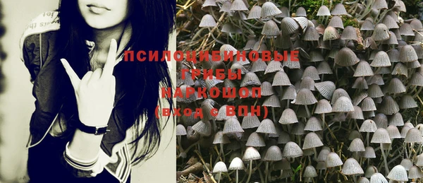 дмт Заволжск