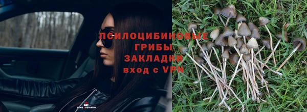 MESCALINE Инсар