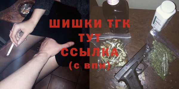 спиды Болотное