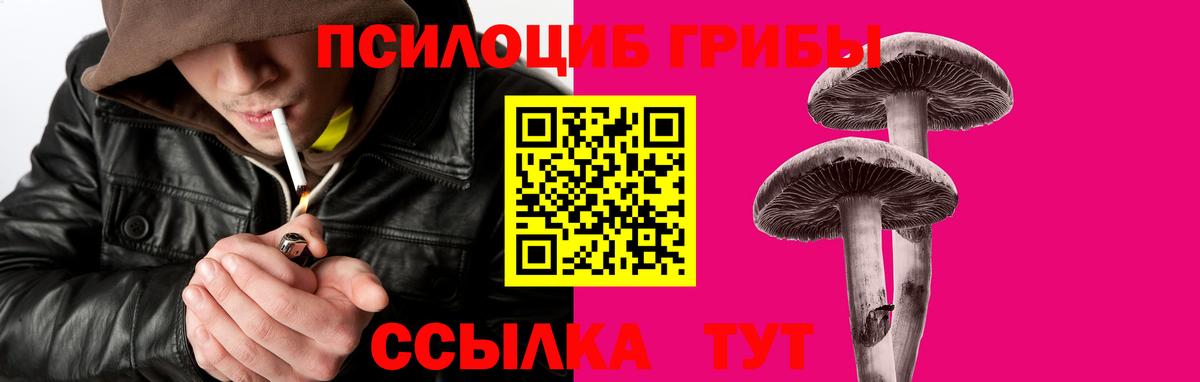 Галлюциногенные грибы MAGIC MUSHROOMS Кирово-Чепецк